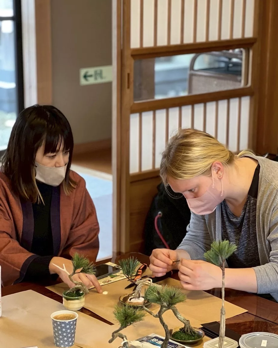 HAKONE ART BONSAI