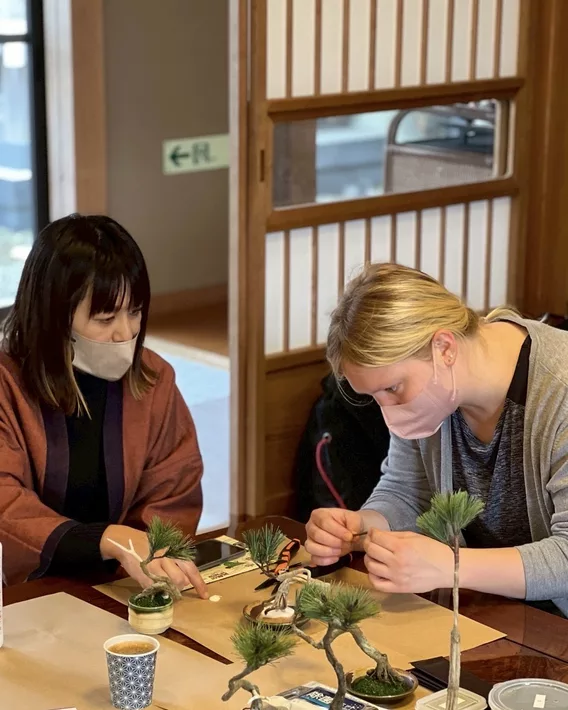 HAKONE ART BONSAI