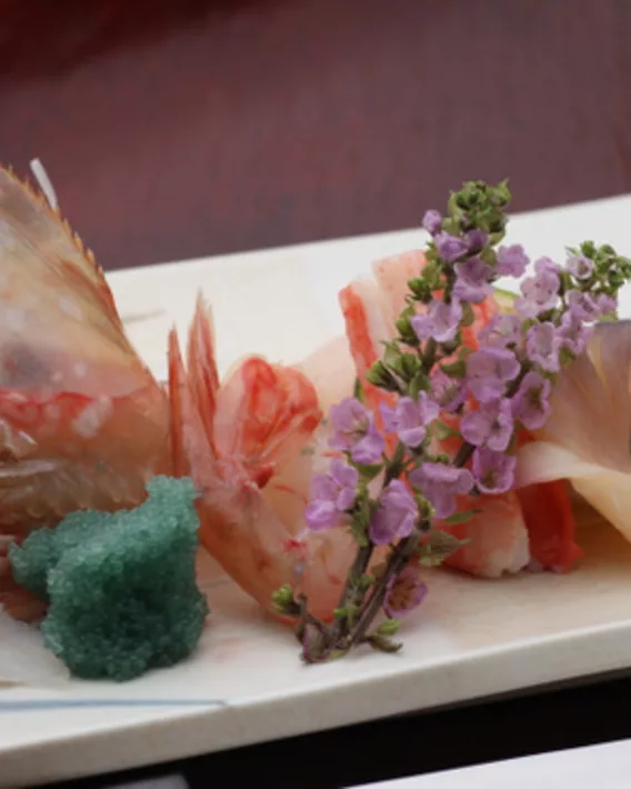 Sushi no Hishita