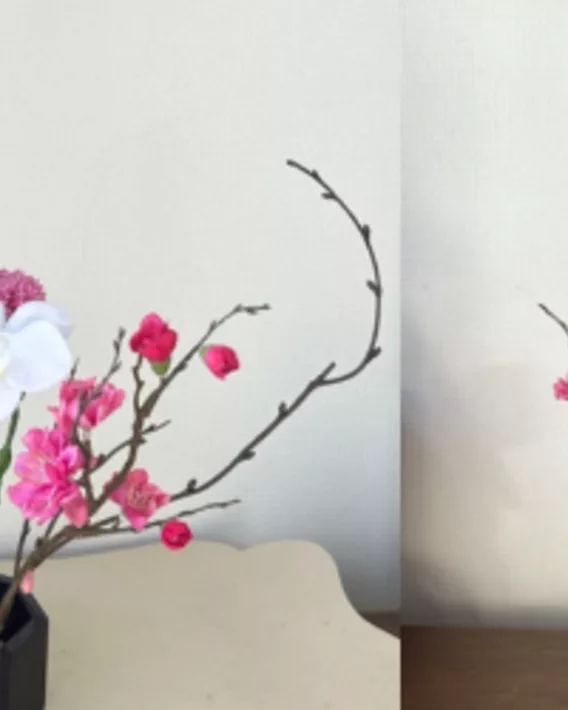 Japan Unique Cultural Experiences