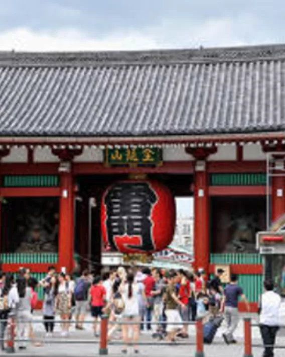 Tokyo Amaze Day Trips