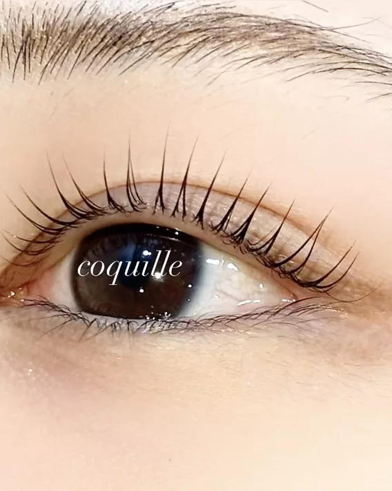 Coquille（科基尤）